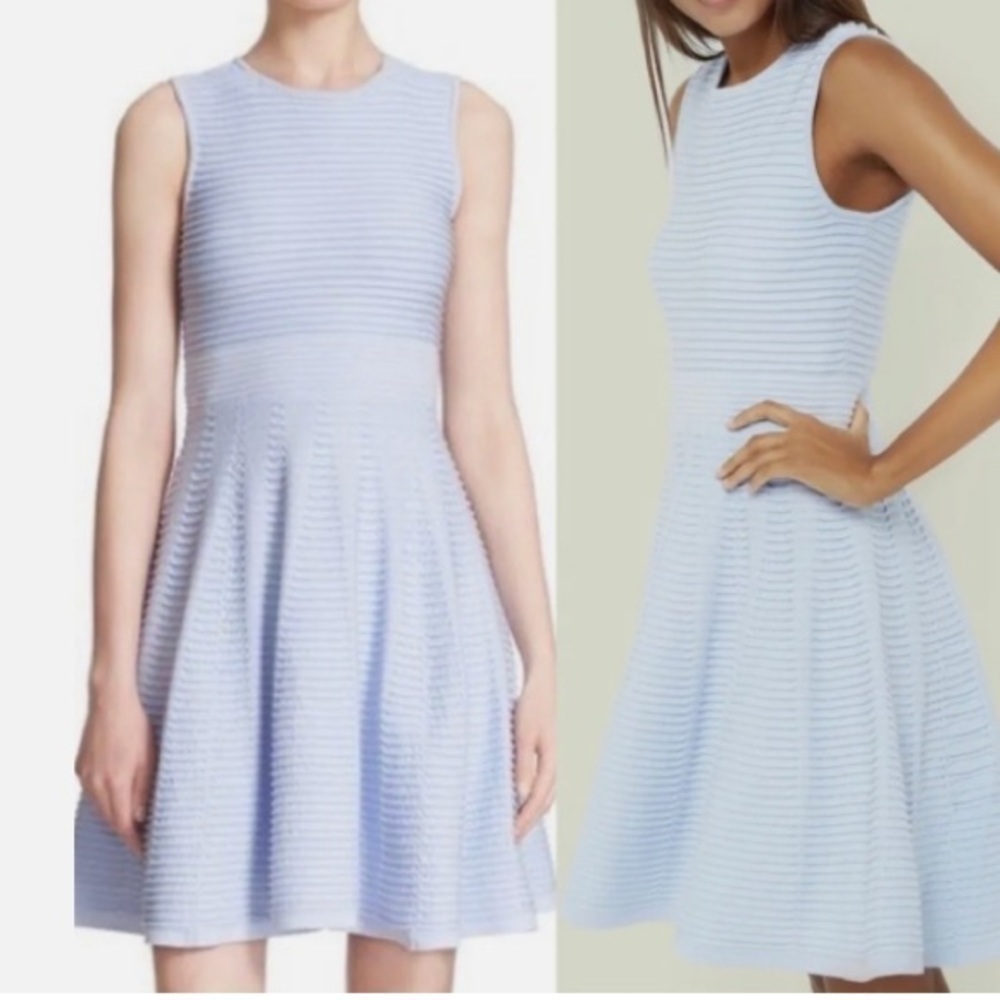 Ted Baker London Nadyne Ottoman Ribbed Fit & Flare Dress in Light Blue size S